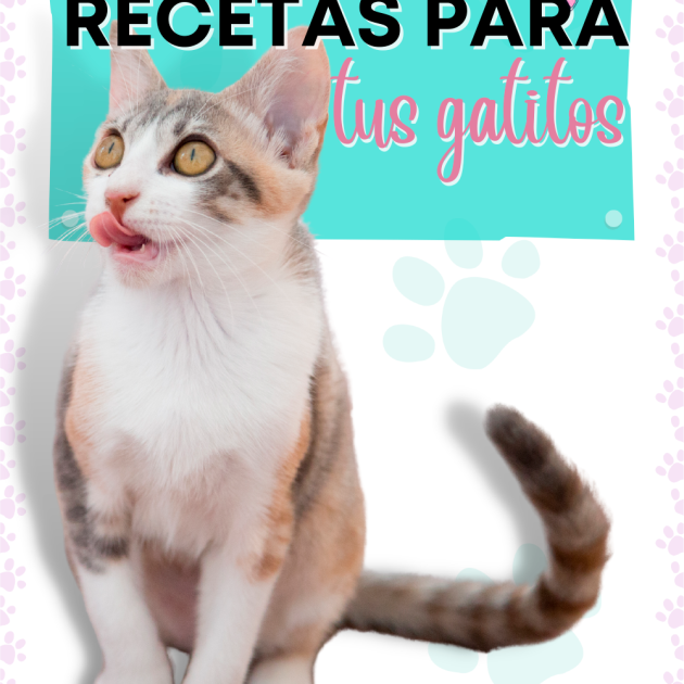RECETAS PARA TUS GATITOS – Libro Digital