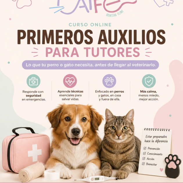 Primeros auxilios básicos para perros y gatos